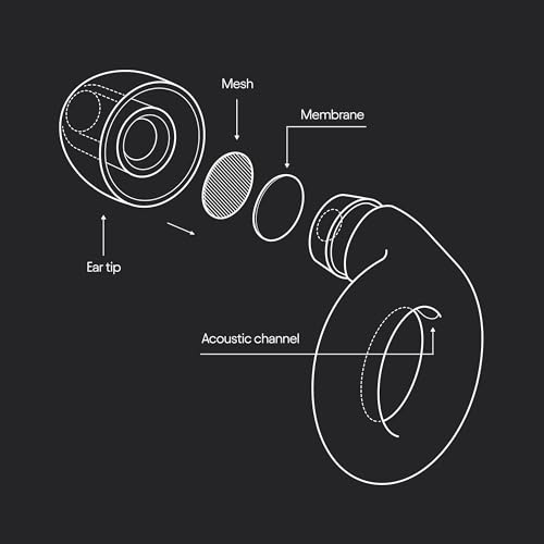 Loop Experience Equinox Earplugs – High-Fidelity Reusable Earplugs LoopBuy Supplements Australia