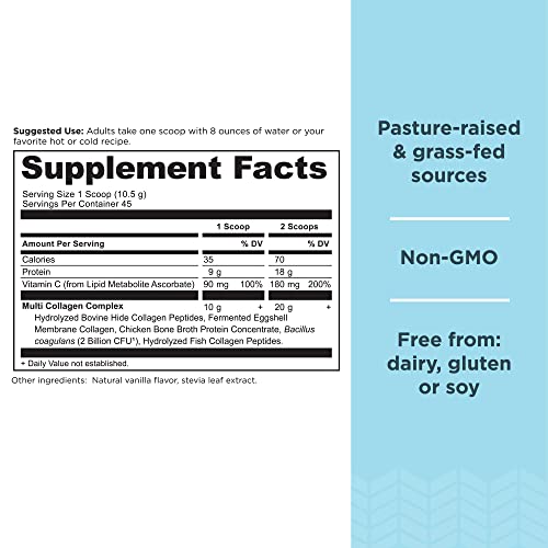 Collagen Powder Protein by Ancient Nutrition, Multi Collagen Vanilla Protein Powder Ancient NutritionBuy Supplements Australia