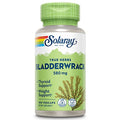 SOLARAY Bladderwrack Seaweed 580 mg Healthy Thyroid Balance and Weight Management
