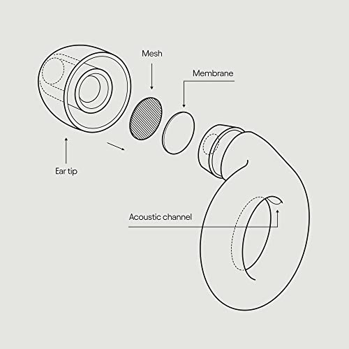 Loop Experience Ear Plugs for Concerts – High Fidelity Hearing Protection LoopBuy Supplements Australia