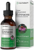 Echinacea Drops Liquid Extract | 2 fl oz | Super Concentrated Tincture | Alcohol Free