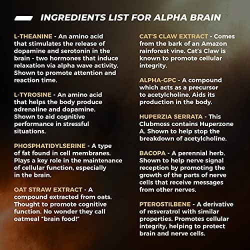 ONNIT Alpha Brain (60ct) - Over 1 Million Bottles Sold - Premium Nootropic Brain Supple ONNITBuy Supplements Australia