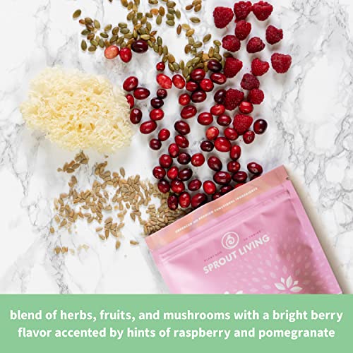 Sprout Living Epic Protein, Plant Based Protein & Superfoods Powder, Pro Collagen, Sprout LivingBuy Supplements Australia