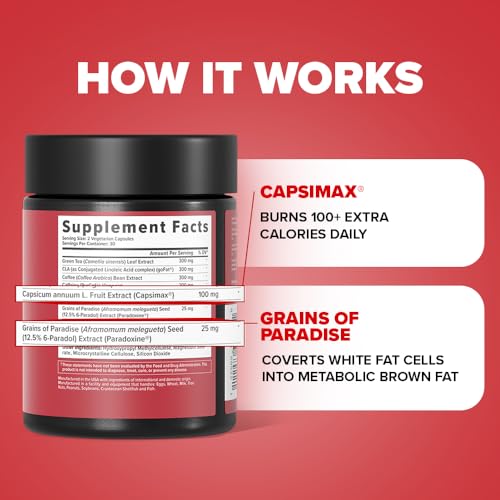 Inno Shred - Day Time Fat Burner | 100mg Capsimax, Grains of Paradise, Organic Caffeine InnoSuppsBuy Supplements Australia