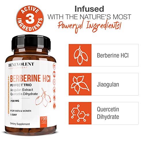 Premium Berberine HCL 730mg - 120 VCAPS Perfect Trio Complex with Non-GMO Jiaogulan Benevolent NourishmentBuy Supplements Australia