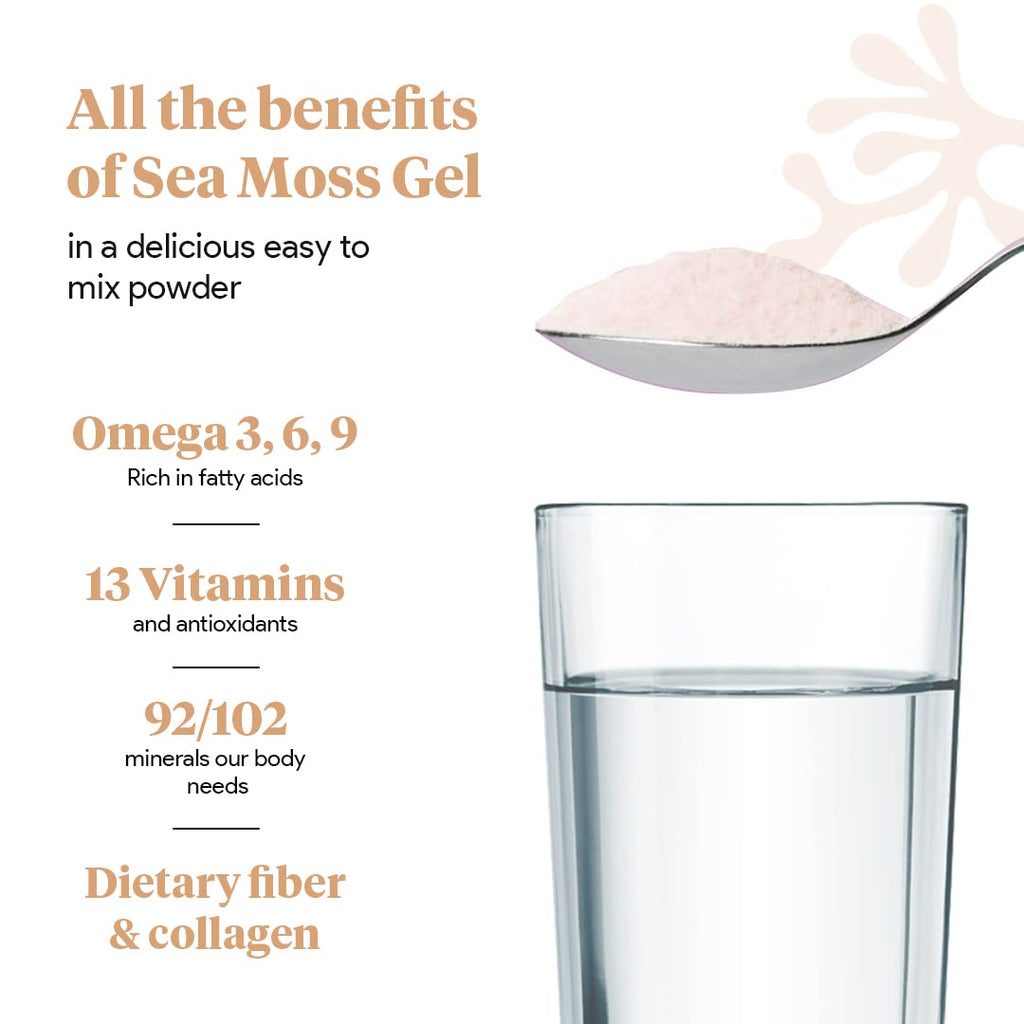 Organic Sea Moss Superfood Powder with Ashwagandha, Beet Root, and Maca Atlantic NaturalsBuy Supplements Australia