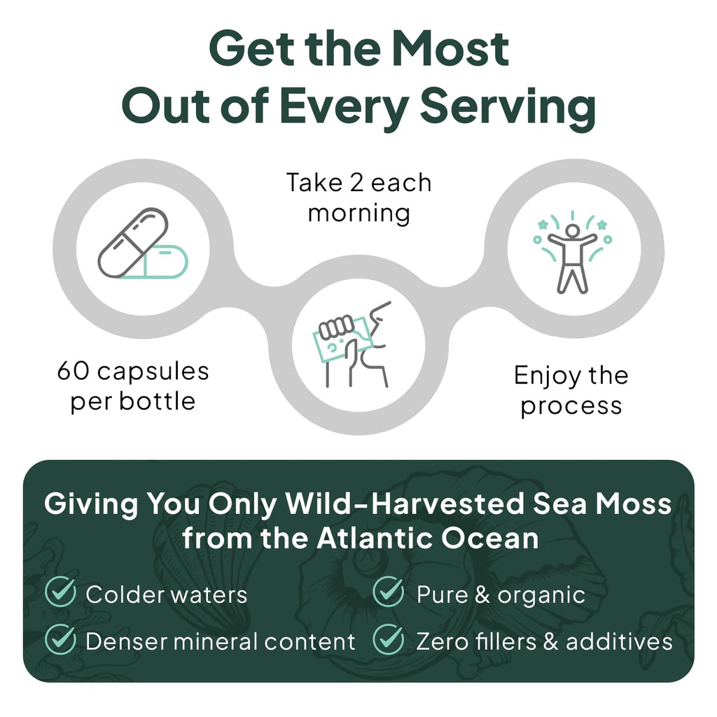 Organics Ocean Wild Sea Moss Capsules - 100% Organic Irish Sea Moss with Organic Chlorella, Bladderwrack and Vitamin D for Energy, Lung Health and Thyroid Support for Women and Men - 60 Capsules Organics OceanBuy Supplements Australia