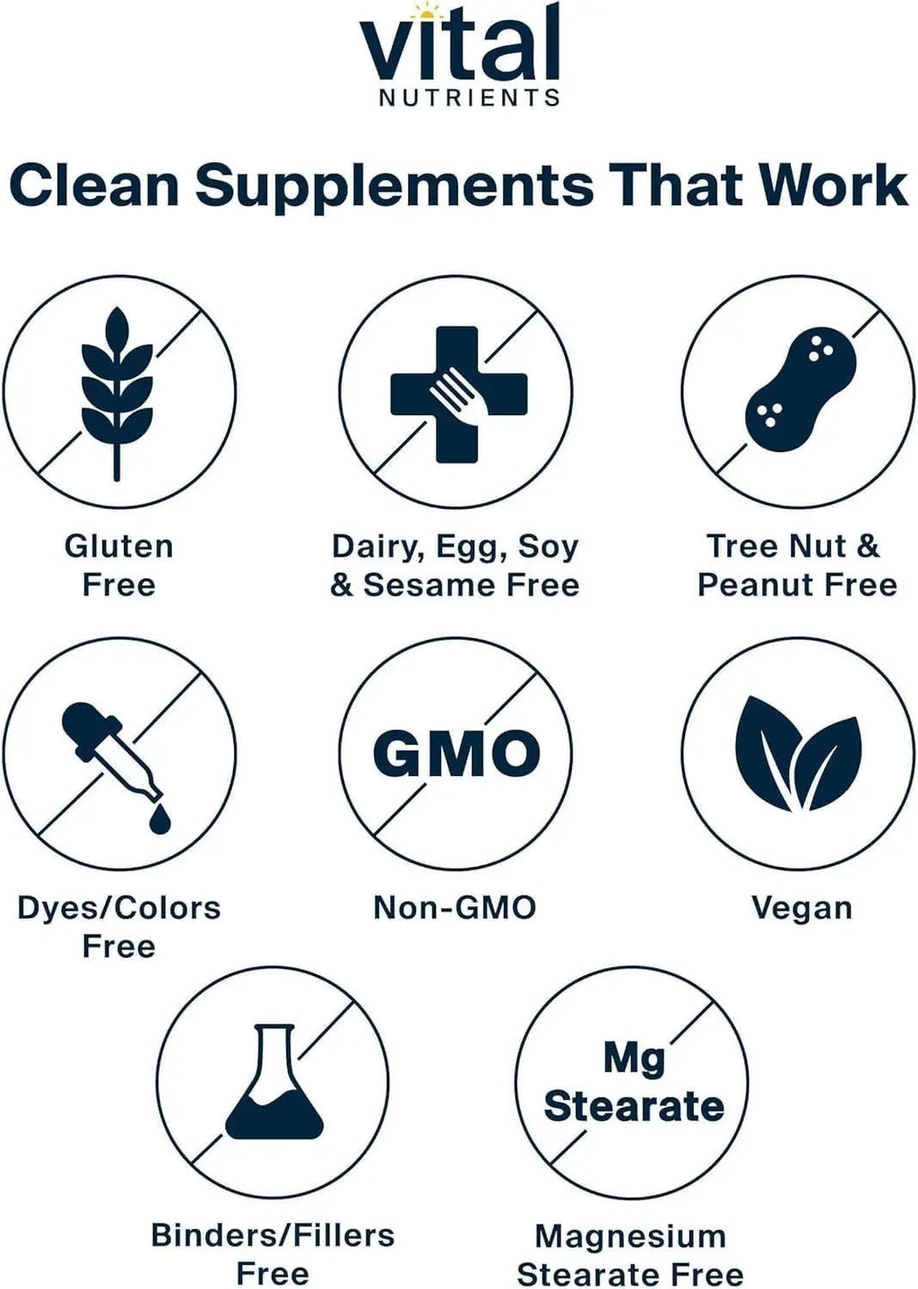 Vital Nutrients Once Daily Multivitamin | Vegan Multi for Women & Men | Allergen-Free | 19 Essential Vitamins + Antioxidants for Eye and Heart Health | Vital NutrientsBuy Supplements Australia