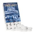 Historical Remedies Stress Mints (1 Pack) | Homeopathic Lozenges to Aid Stress & Digestion, Organic Peppermint Flavor, Vegan & Gluten-Free, Non-Habit Forming Historical Remedies buy supplements Au