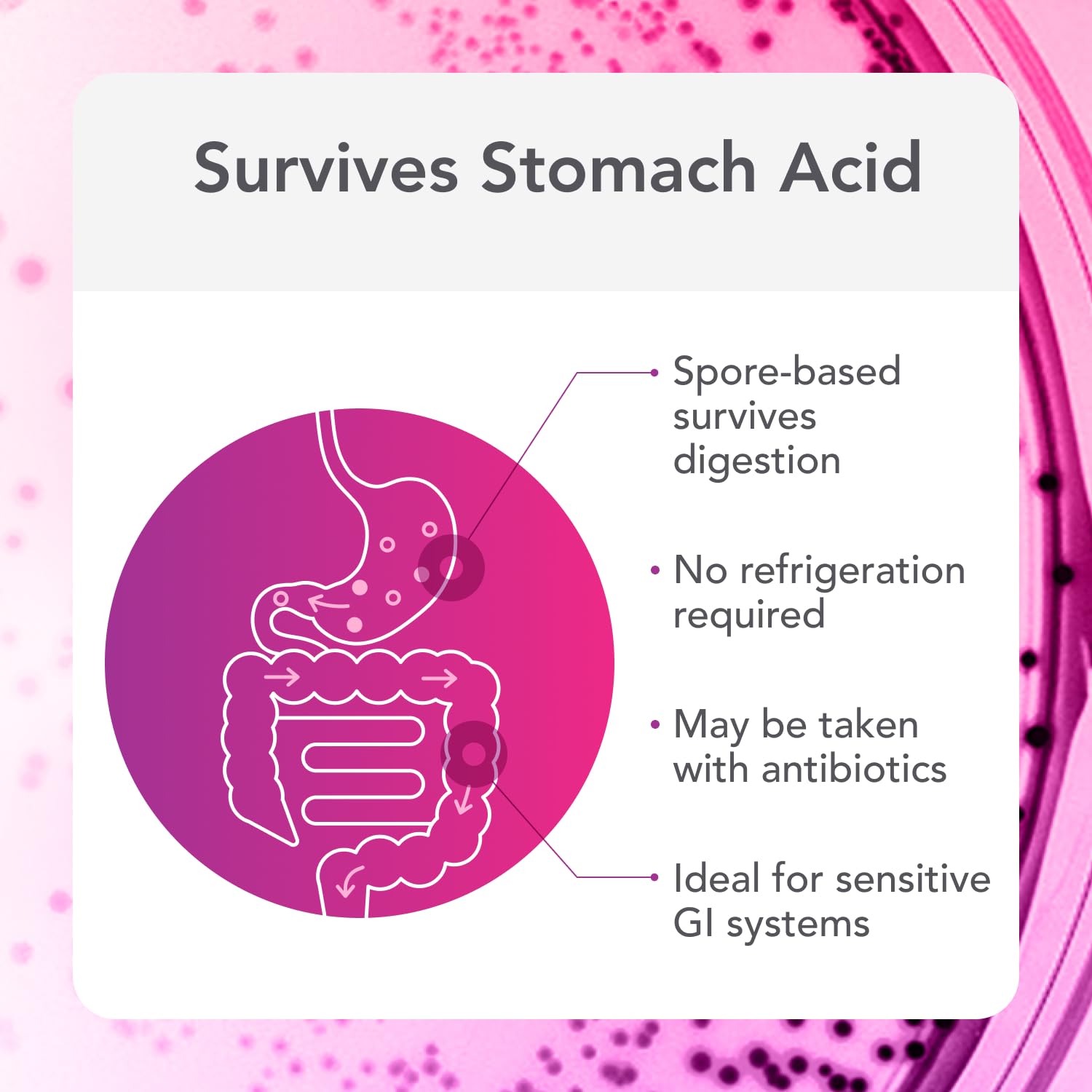 Biocidin Proflora 4R Spore Probiotic - Digestive Health Probiotics for Women & Men - Clinically Researched Bacillus Strains & Organic Aloe, Marshmallow Root for Gut Support (30 Vegan Capsules) Bio-Botanical ResearchBuy Supplements Australia