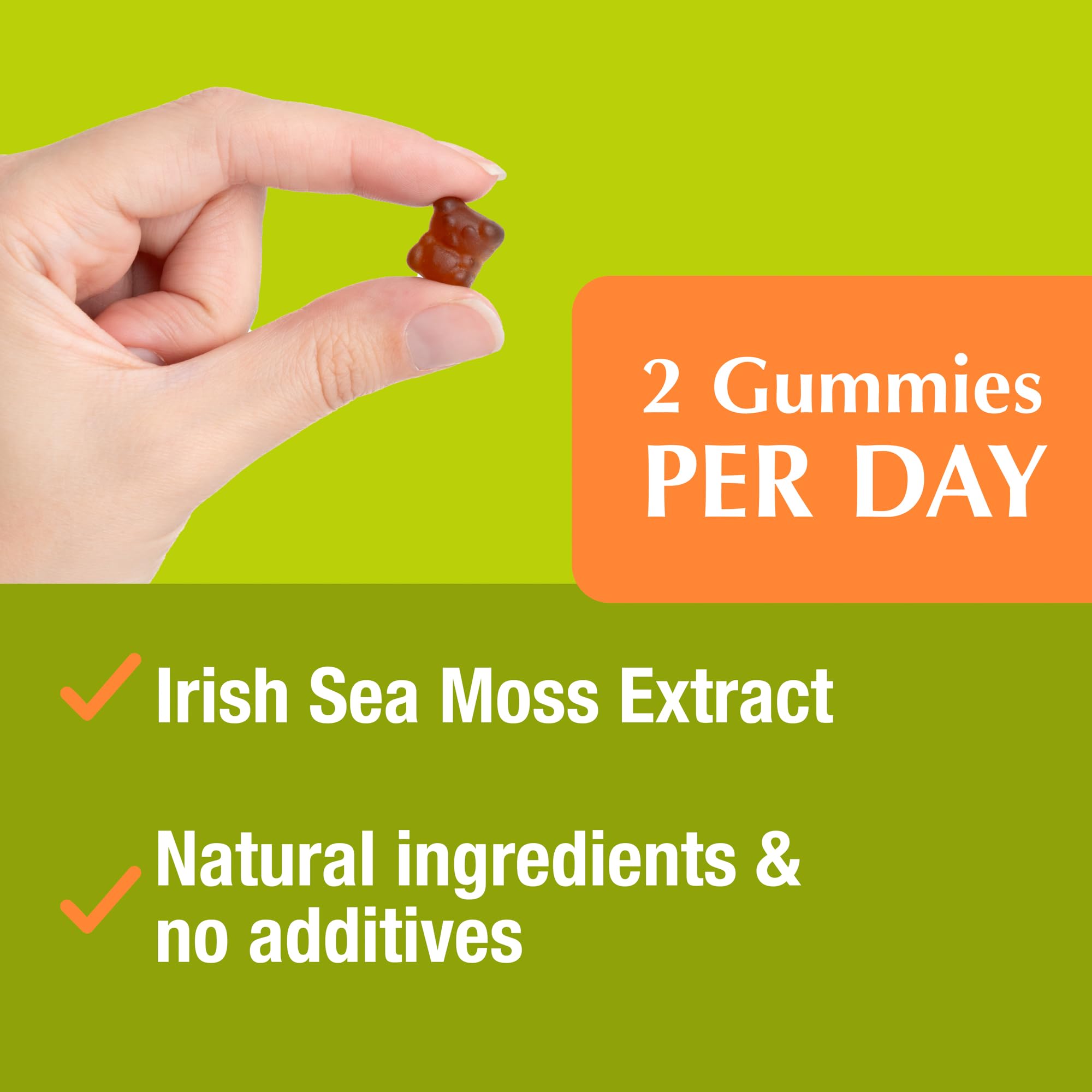 Jiva Botanicals - Irish Sea Moss Gummies with Bladderwrack & Burdock Root 3000mg Jiva BotanicalsBuy Supplements Australia