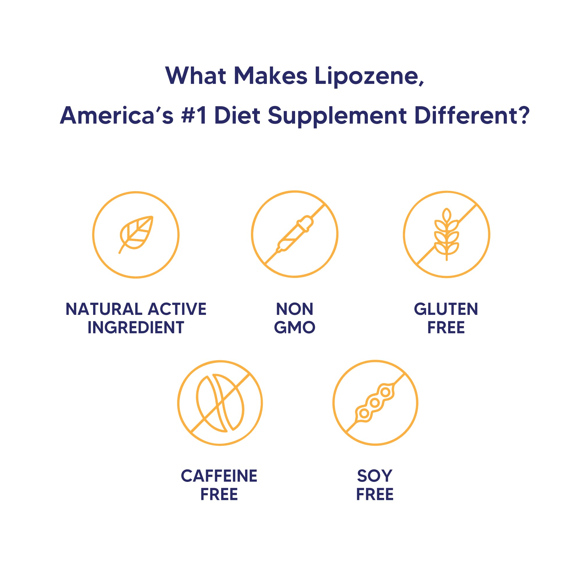 Lipozene Diet Pills - Weight Loss Supplement - Appetite Control - Two Bottles of 30 Capsules LipozeneBuy Supplements Australia