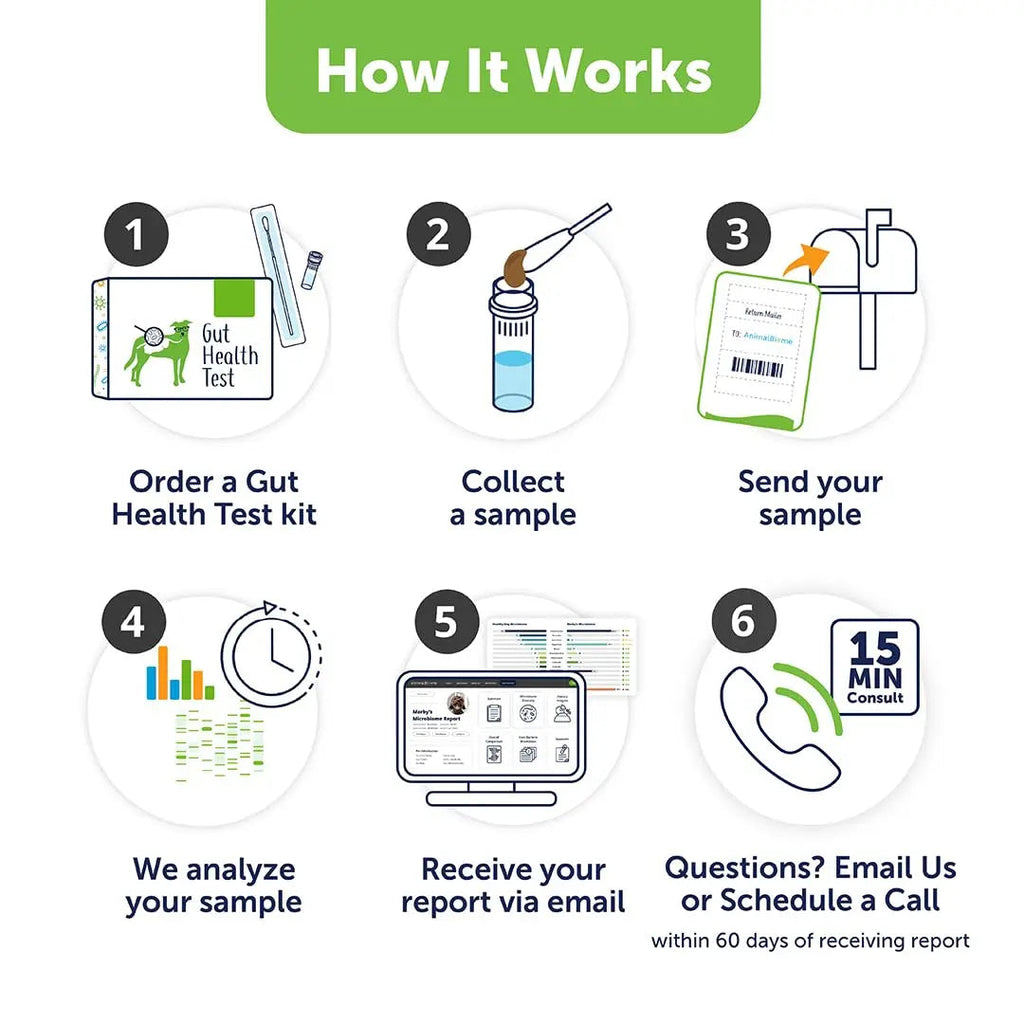AnimalBiome Dog Gut Health Test – DoggyBiome At Home Stool Testing Kit, Canine Fecal Analysis for Digestive Issues, Diarrhea & Allergy Insights w/Personalized Report & Custom Plan (Dogs Outside US) AnimalBiomeBuy Supplements Australia