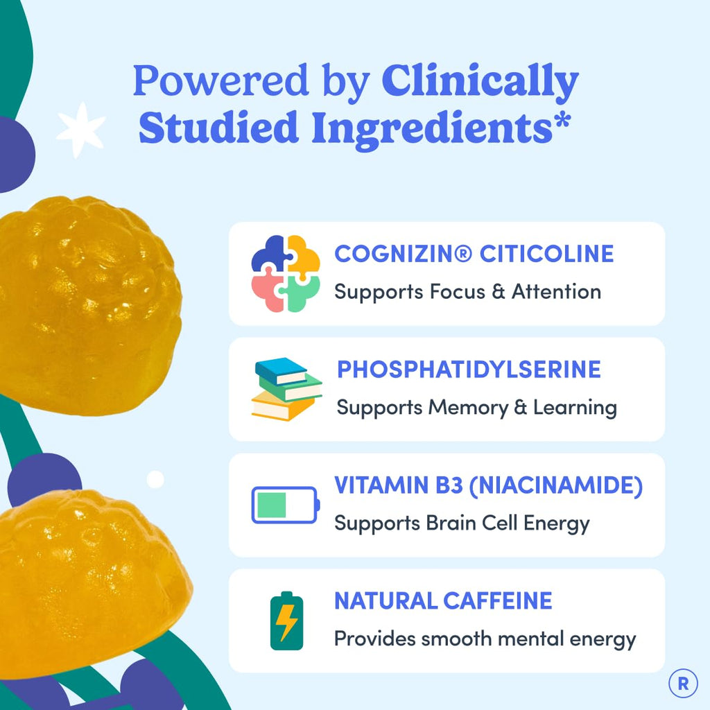 FIRST DAY Men’s Daily Nootropic Brain Supplement Gummies for Focus, Memory & Mental Energy | with Cognizin® Citicoline, Phosphatidylserine & Natural Caffeine | Vegan, Allergen-Free | 30-Day Supply FIRST DAYBuy Supplements Australia