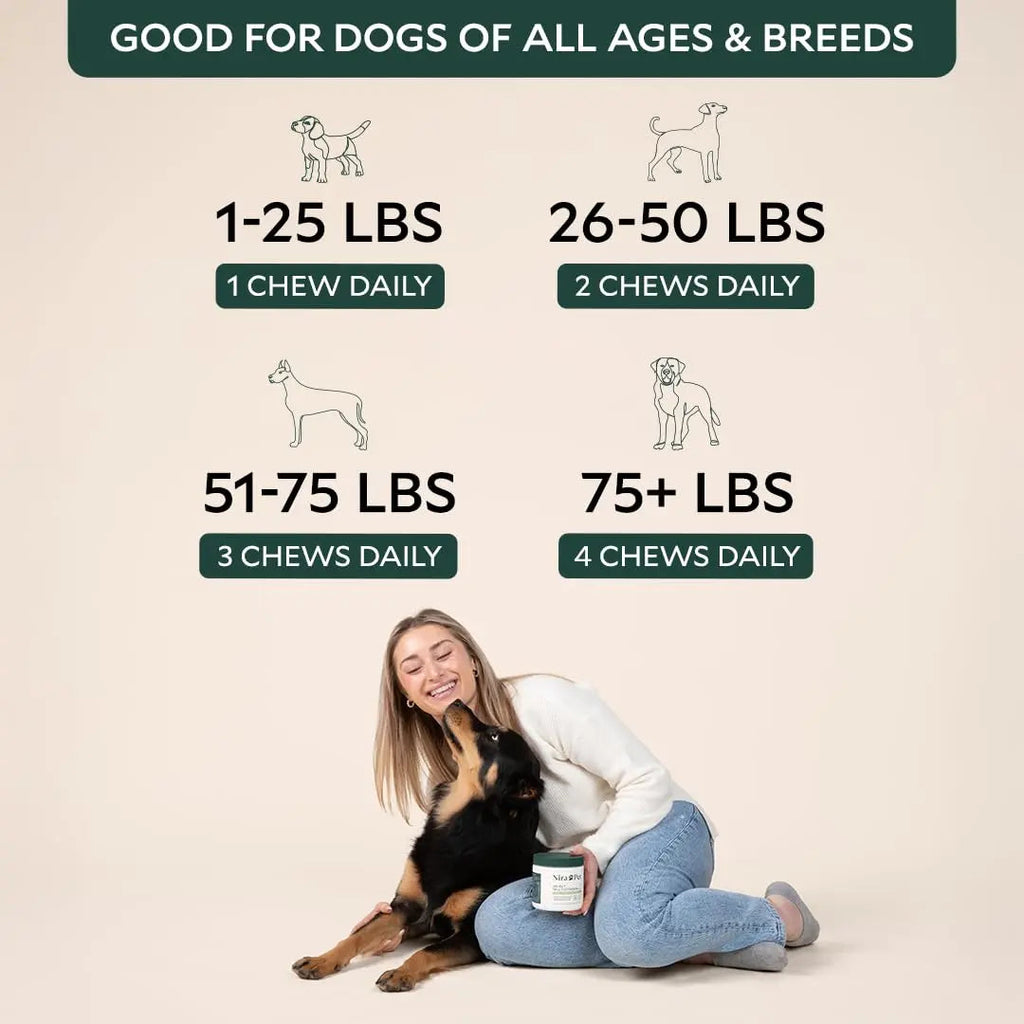 Nira Pet Probiotics for Dogs – 60 Beef-Flavored Chews with Postbiotics, Colostrum, Ashwagandha & Lactobacillus – Supports Gut Health, Immunity, Diarrhea, Gas & Stress Nira PetBuy Supplements Australia