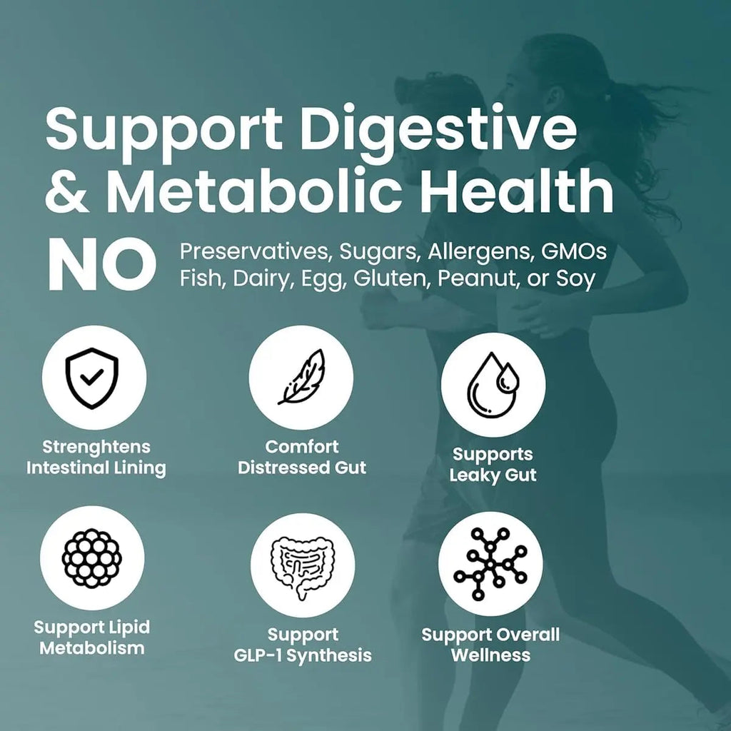 UpNourish Probiotics for GLP-1 Support, 5 Billion TFU Akkermansia Muciniphila for Digestive Health, Leaky Gut, Immunity and Metabolic Health, Prebiotics and Probiotics for Women and Men, 60 Capsules UpNourish buy supplements Au