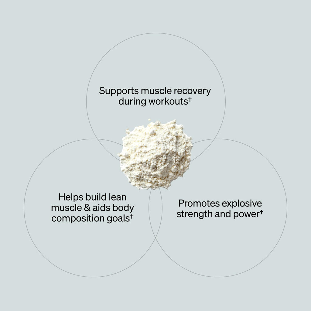 ONNIT Creatine Monohydrate Powder – Unflavored, 90-Serving Value Size – Supports Strength, Lean Muscle, and Brain Energy† – Keto Friendly, No Fillers, 90 Servings, 15.29 oz ONNITBuy Supplements Australia