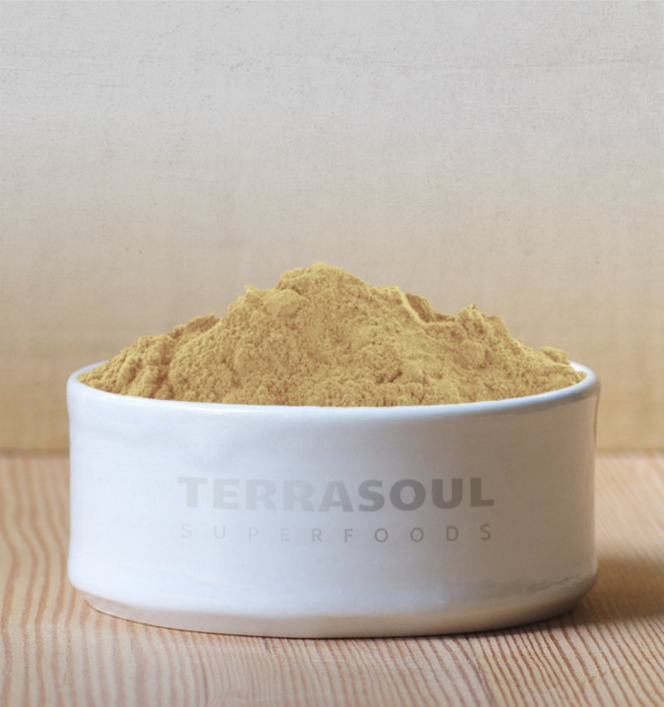 Terrasoul Superfoods Organic Amla Berry Powder (Amalaki), 16 Oz - Rich in Antioxidant Vitamin C | Supports Immunity