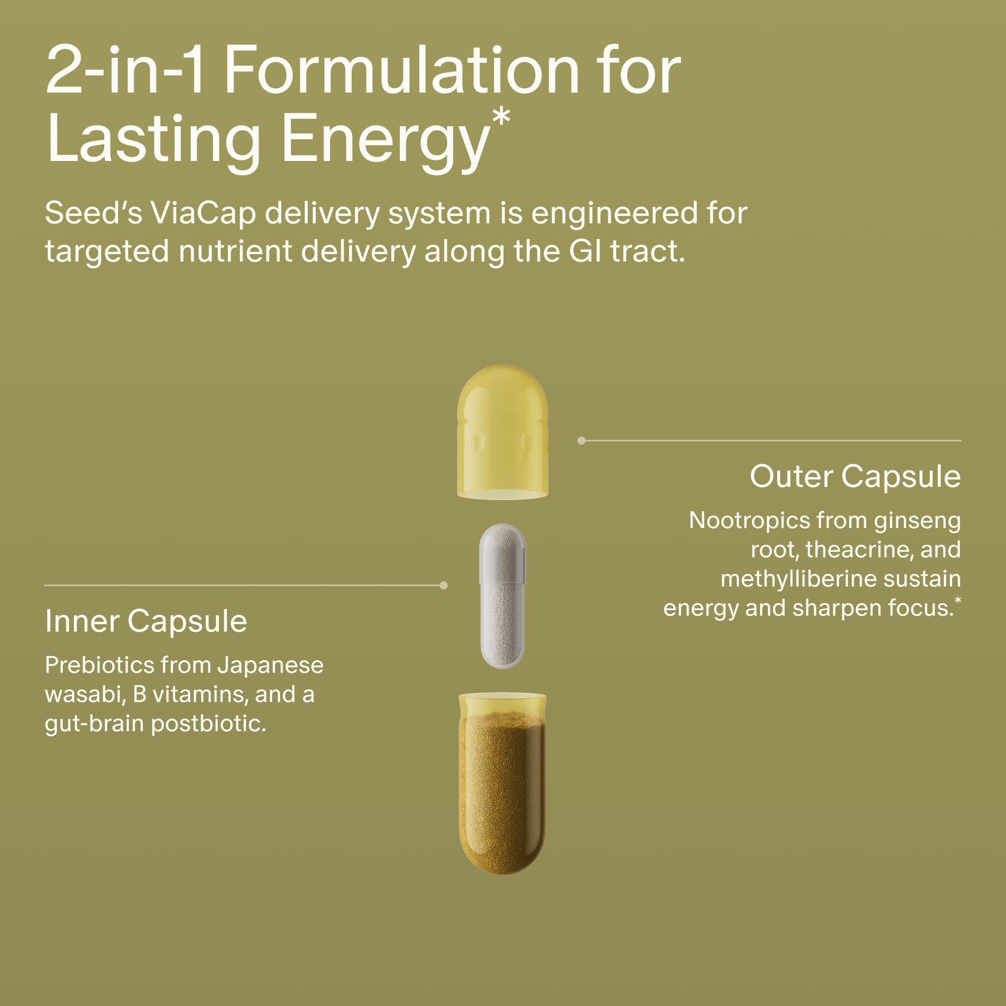 Seed AM-02 Energy + Focus - Daily Nootropic Supplement for Women & Men - Fast-Acting & Sustained Energy for Up to 6 Hours - Caffeine-Free Vegan & Shelf-Stable - 30 Capsules (30-Day Supply) Visit the Seed StoreBuy Supplements Australia