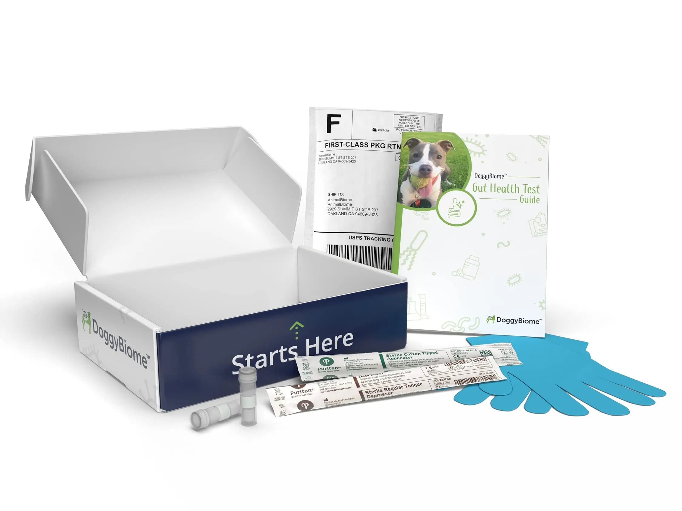 AnimalBiome Dog Gut Health Test – DoggyBiome At Home Stool Testing Kit, Canine Fecal Analysis for Digestive Issues, Diarrhea & Allergy Insights w/Personalized Report & Custom Plan (Dogs Outside US) AnimalBiomeBuy Supplements Australia