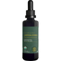 Global Healing Center - Organic Ashwagandha Supplements Drops - KSM-66 Ashwagandha Extra Strength for Men & Women, Helps Promote Relief from Stress, Mood Support, Organic (2 Fl Oz) Global Healing CenterBuy Supplements Australia