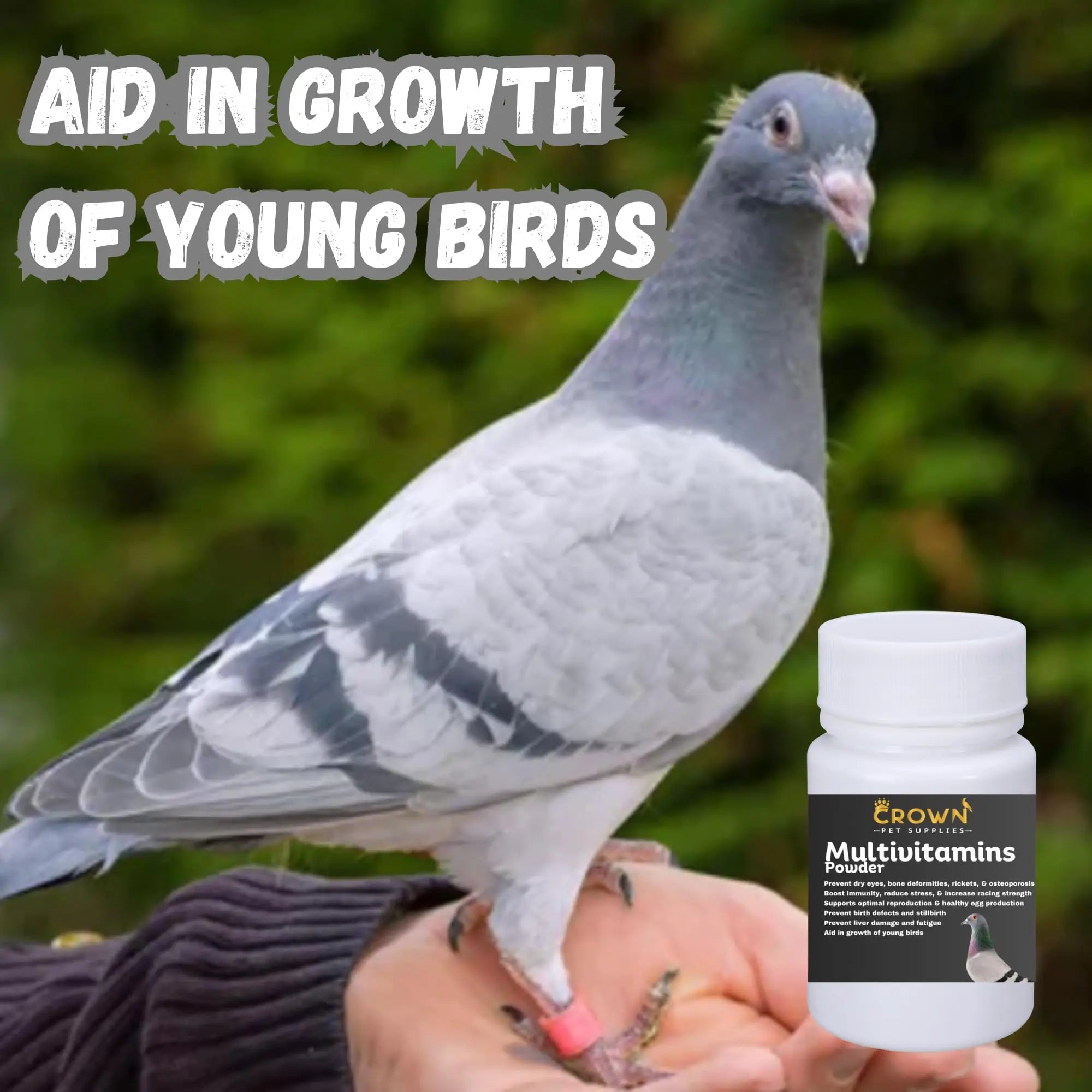 Multivitamin Powder for Pigeons – Ultimate Vitamin Formula for Racing & Breeding – Supports Growth, Bone Strength, Reproductive Health & Feather Health Crown Pet Supplies