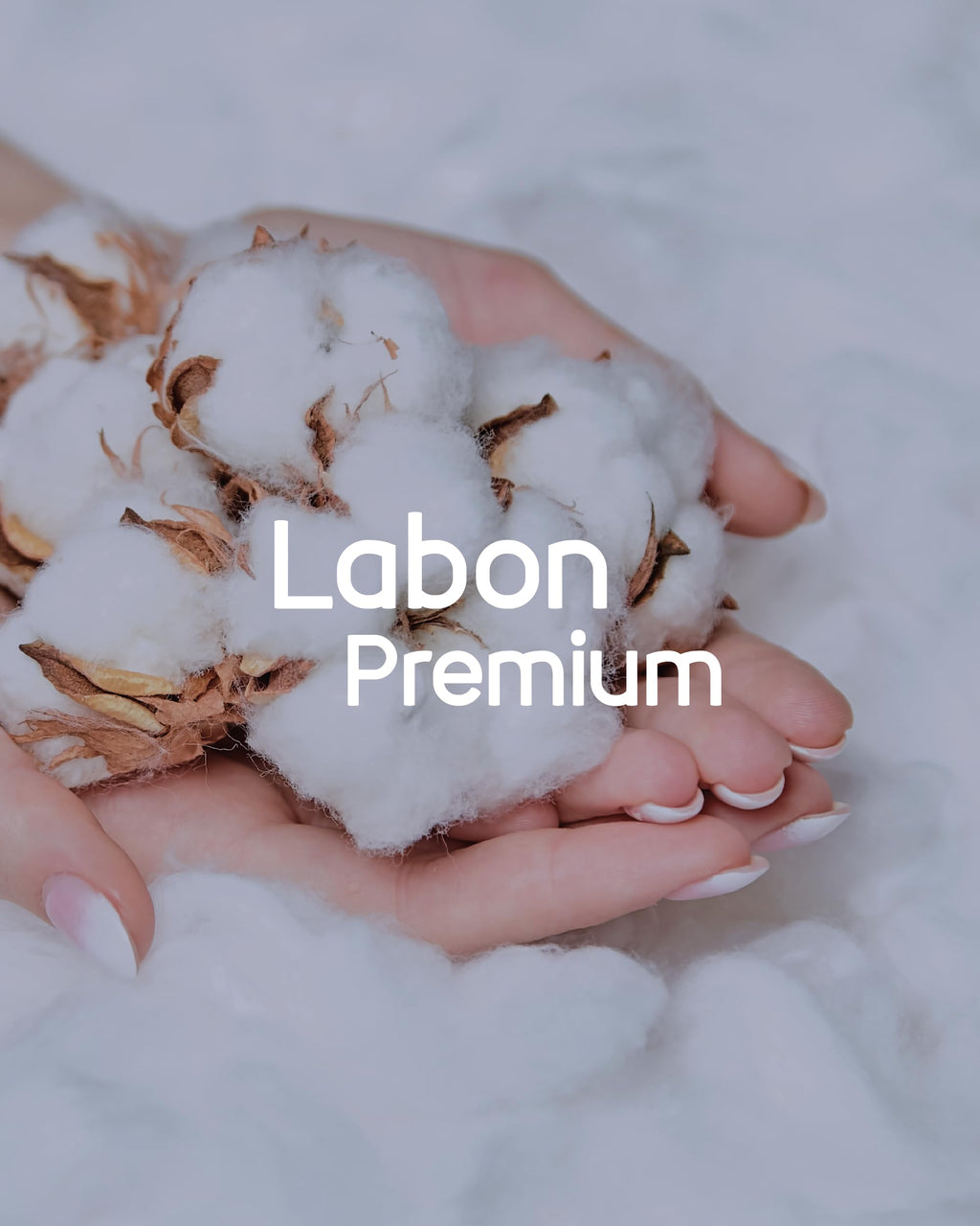 LABON Premium Vegan Organic Sanitary Pads (Regular, 25cm, 32 Counts) - 100% Organic Cotton Cover OCBONBuy Supplements Australia