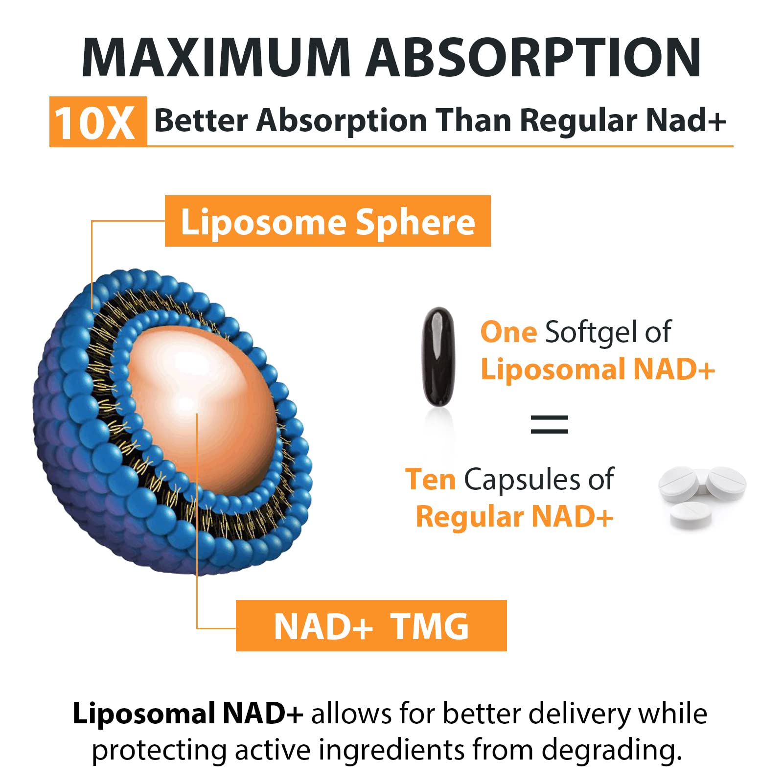 Orgabay Liposomal NAD+ Supplement 500 mg, High Absorption, Boost NAD+ with TMG 250 mg, Actual NAD Plus More Efficient Than Nicotinamide Riboside, Support Cellular Energy, Healthy Aging | 240 Softgels OrgabayBuy Supplements Australia