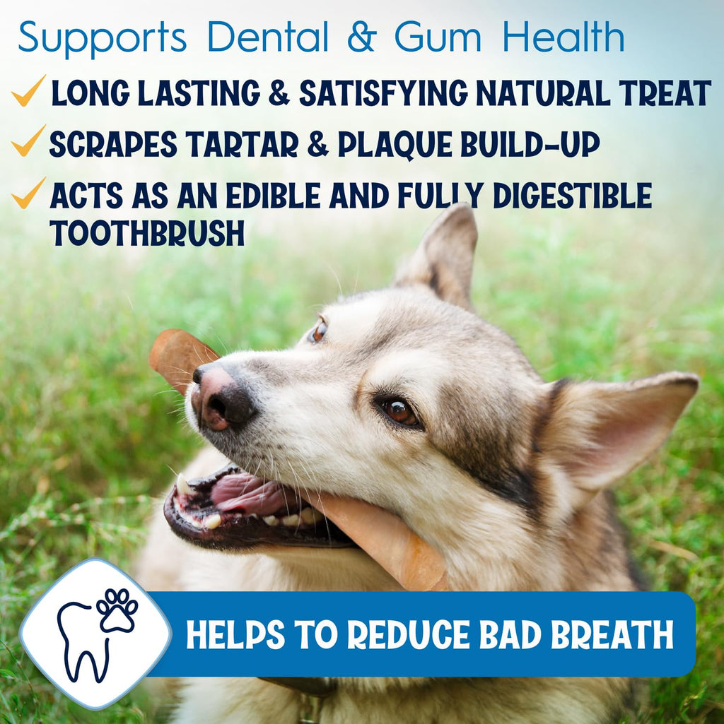 FETCHERONI 6" Collagen Sticks for Dogs – Low Odor Long-Lasting Bully Stick & Rawhide Alternative, Single Ingredient Beef Bone, High Protein Dental Treat, Vet Approved, Improves Joint Health – 20 Pack FETCHERONIBuy Supplements Australia