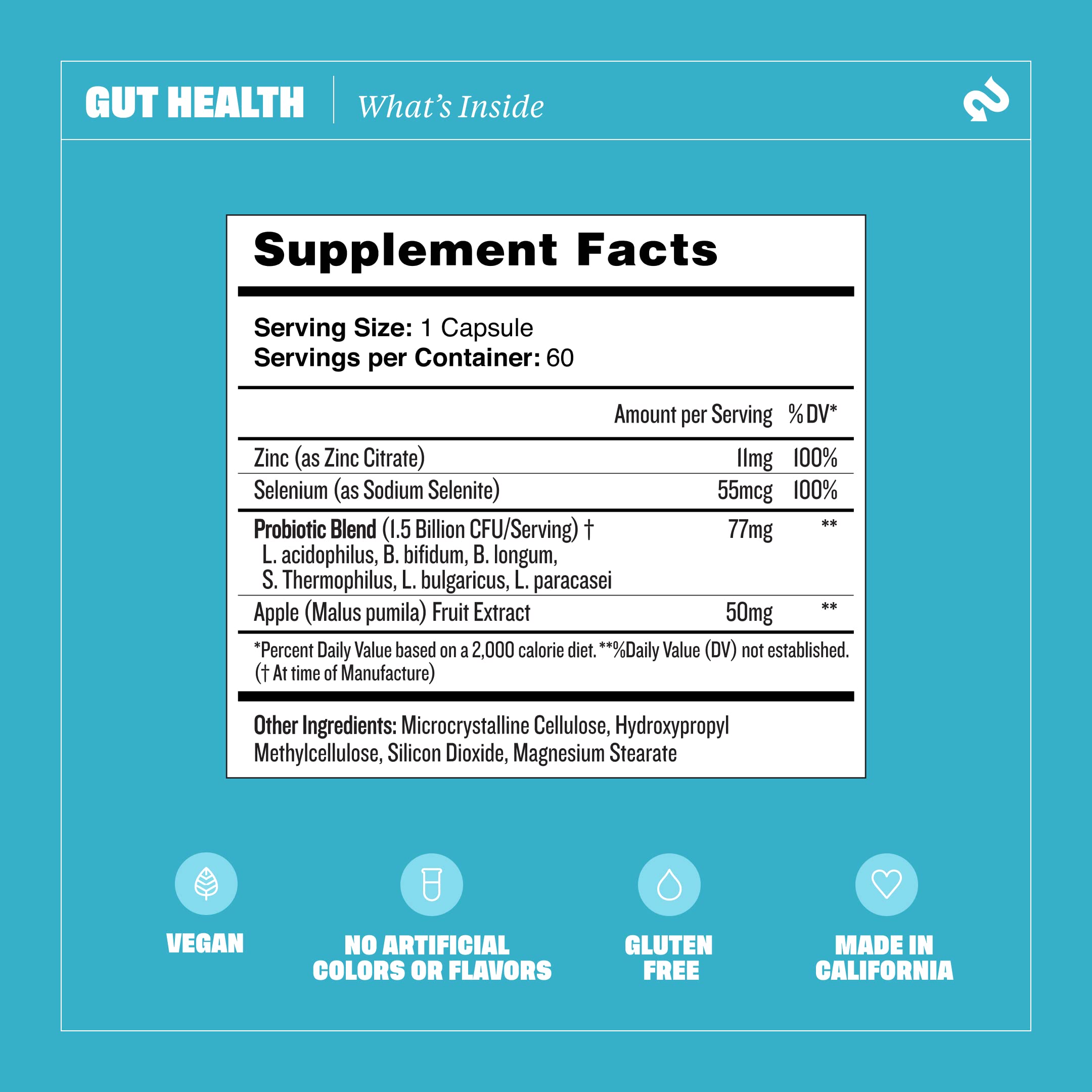 Health By Habit Gut Health Supplement (60 Capsules) - Contains 1.5 Billion probiotic Health By HabitBuy Supplements Australia