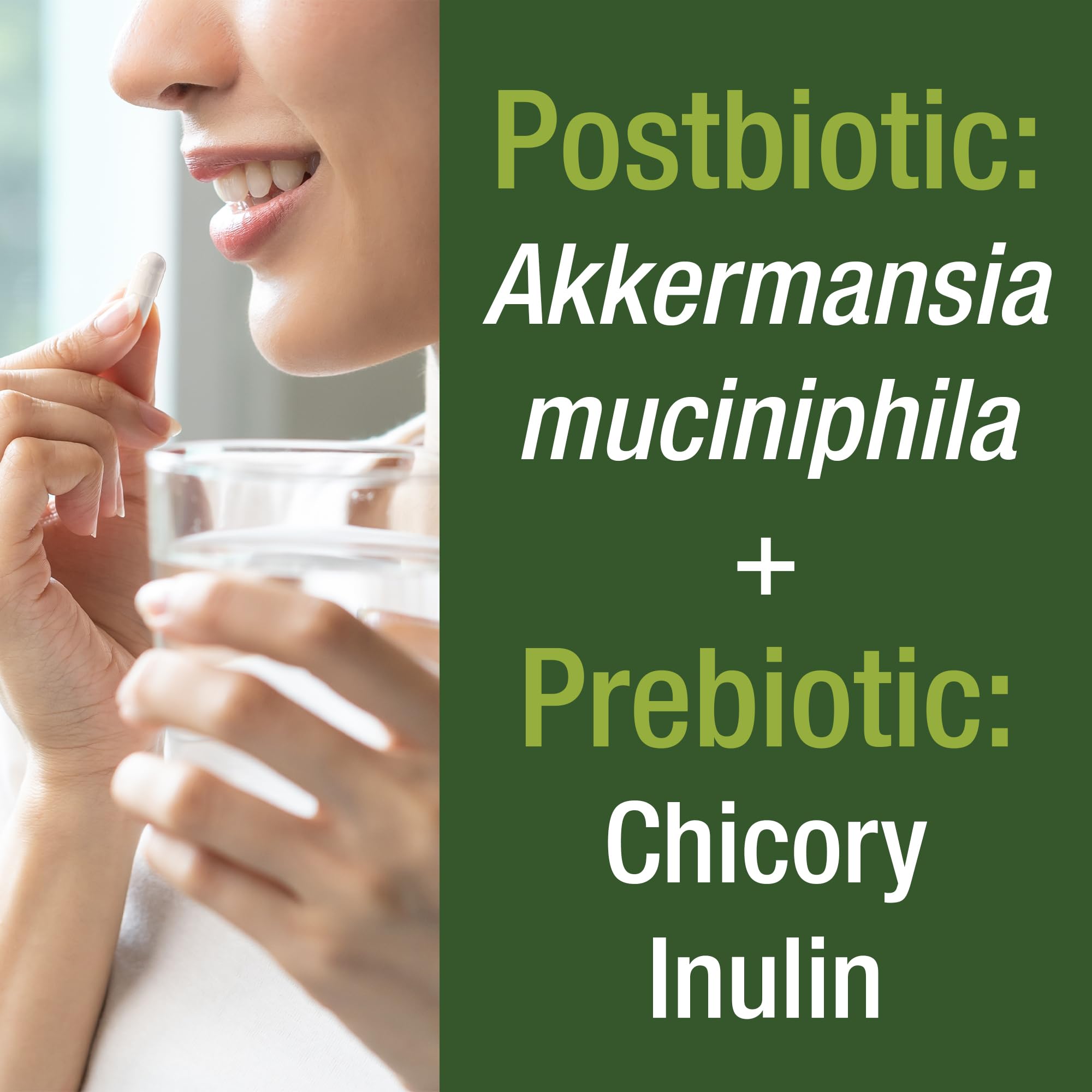 Akkermansia Probiotic to Increase GLP-1 Production. Ultra High Strength Akkermansia Muciniphila Live Strain with Prebiotic Fiber for Gut Health & Microbiome Balance. Delayed Release, 3rd Party Tested Peak PerformanceBuy Supplements Australia