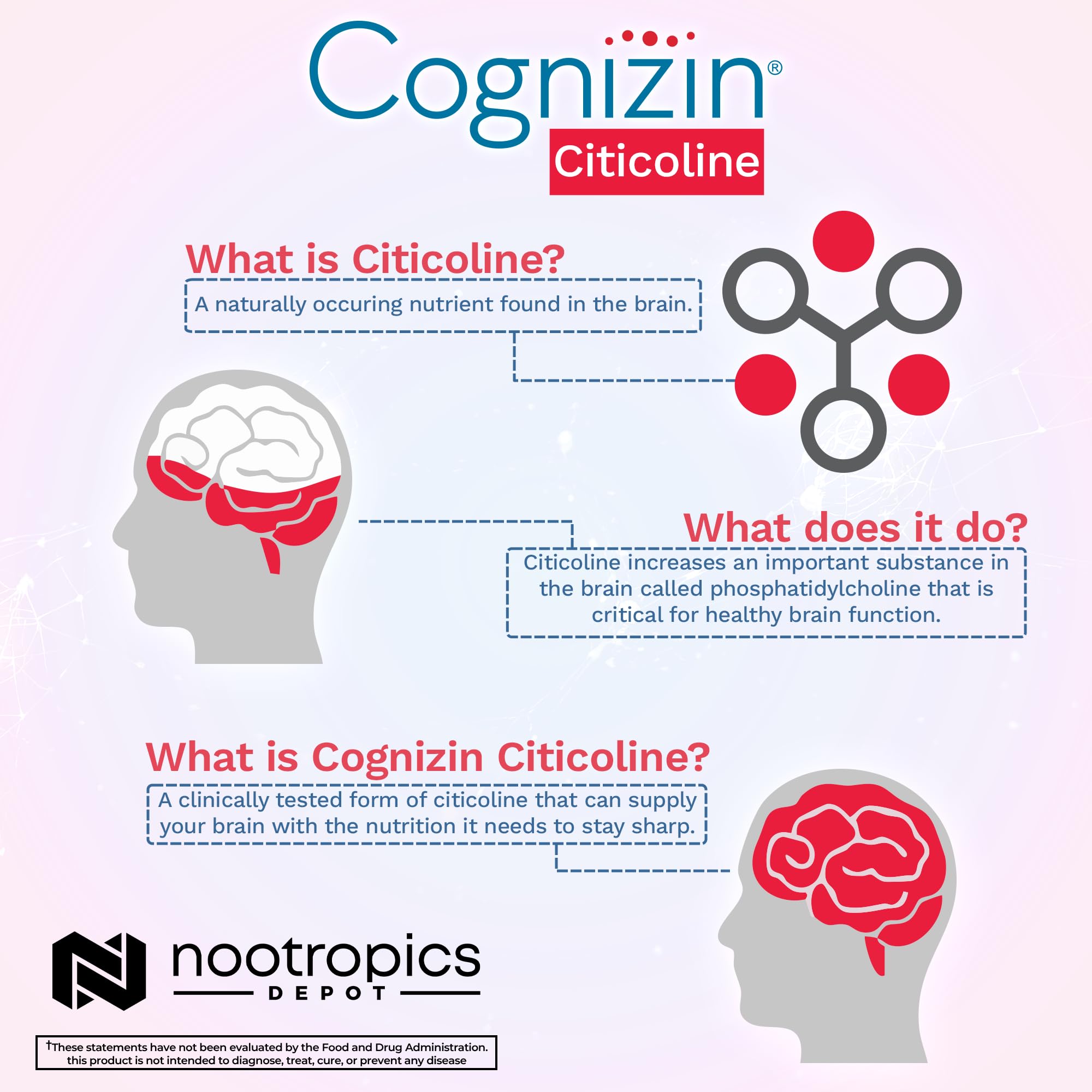 Nootropics Depot Cognizin Citicoline Capsules | 60 Count | Choline Supplement | Brain Health Supplement | Regulates Memory and Cognitive Function | Supports Attention, Focus and Recall Nootropics DepotBuy Supplements Australia