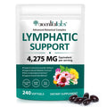 Lymphatic Drainage Supplements, 4275mg Lymph System Support for Women & Men, Herbal Lymphatic Complex with Dandelion, Burdock, Echinacea, Cleavers, Turmeric & Bromelain for Fluid Balance, 240 Capsules flasture buy supplements Au