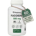PRISTINE'S Fucoidan 500MG Immunity Supplement Capsules - 60 Day Supply - Brown Seaweed Extract - Potent Herbal Antioxidant Lung Health & Skin Health Support PRISTINE'SBuy Supplements Australia