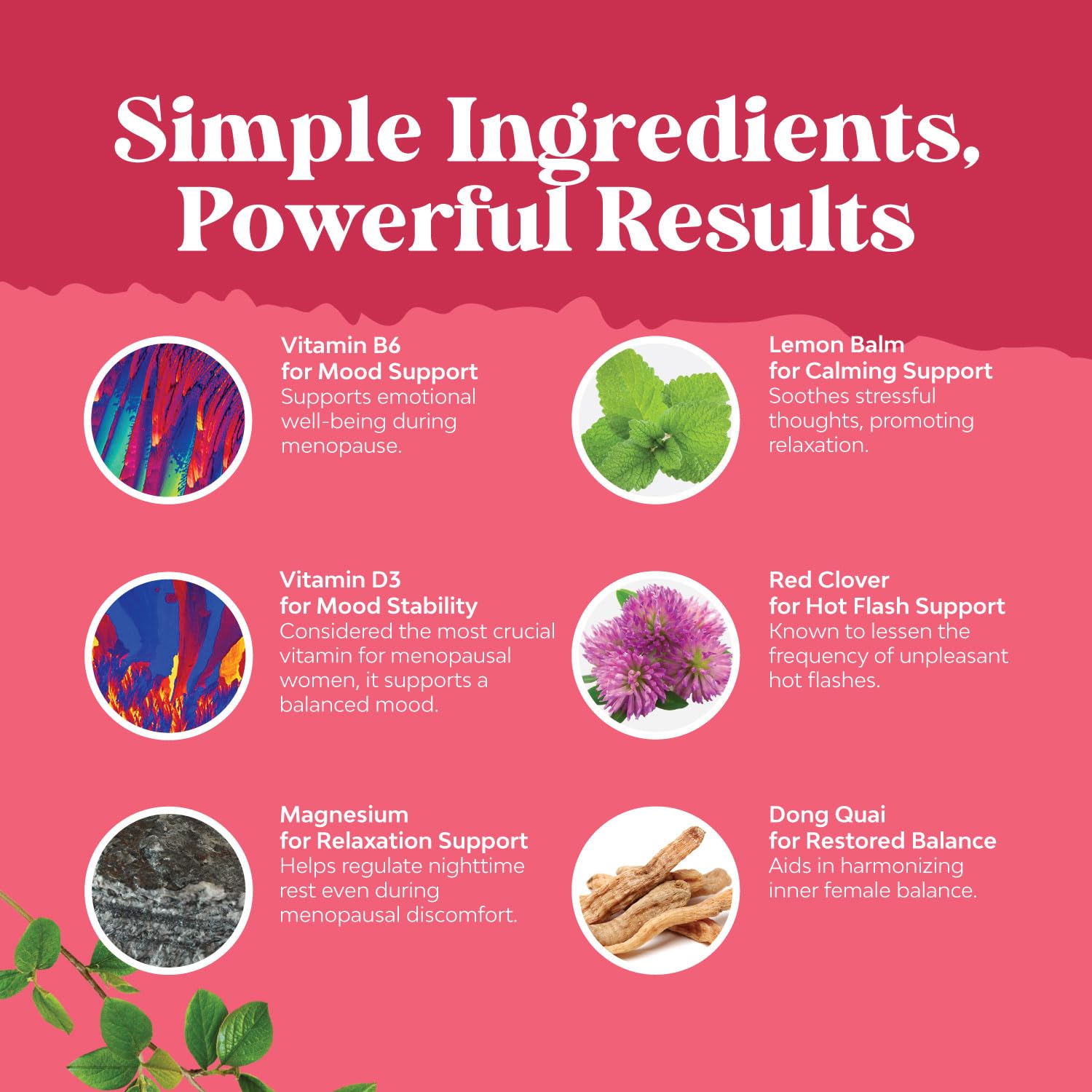 Complete Herbal Menopause Supplement for Women - Female Hormone Balance Capsules for Night Sweats Hot Flashes & Mood Swings with Dong Quai, Chaste Berry & Black Cohosh Root - 120 Count Pack Natures CraftBuy Supplements Australia