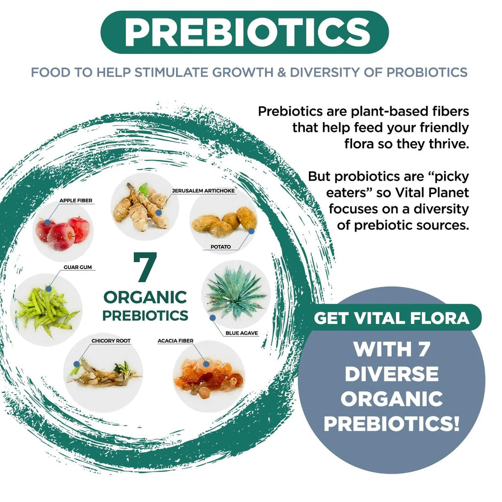 Vital Planet - Vital Flora Ultra Daily Probiotic 60 Billion CFU, Diverse Strains, Organic Prebiotics, Immune Support, Bloating Relief, Digestive Health Probiotics for Women and Men 60 Capsules Vital Planet buy supplements Au