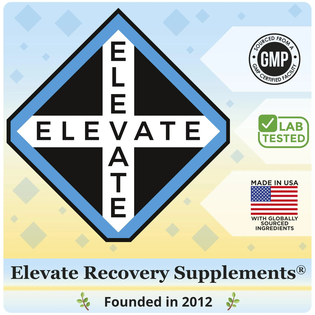 Gut Health Support Supplement (25-in-1) with Prebiotics, Probiotics, Postbiotics & Digestive Enzymes | Gut Supplements | 60 Capsules Elevate Recovery SupplementsBuy Supplements Australia