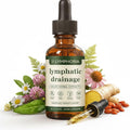 BUN BONS Lymphoria Lymphatic Drainage Wellness Drops, Natural Herbal Blend for Lymphatic System Support, Vegan & Non-GMO, 1 Fl Oz (1) (1) BUN BONS buy supplements Au