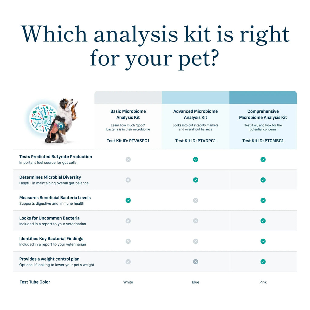 Petivity Microbiome Analysis Kit — Basic for Cats and Dogs, Powered by Purina - 4.8 oz. Box petivityBuy Supplements Australia