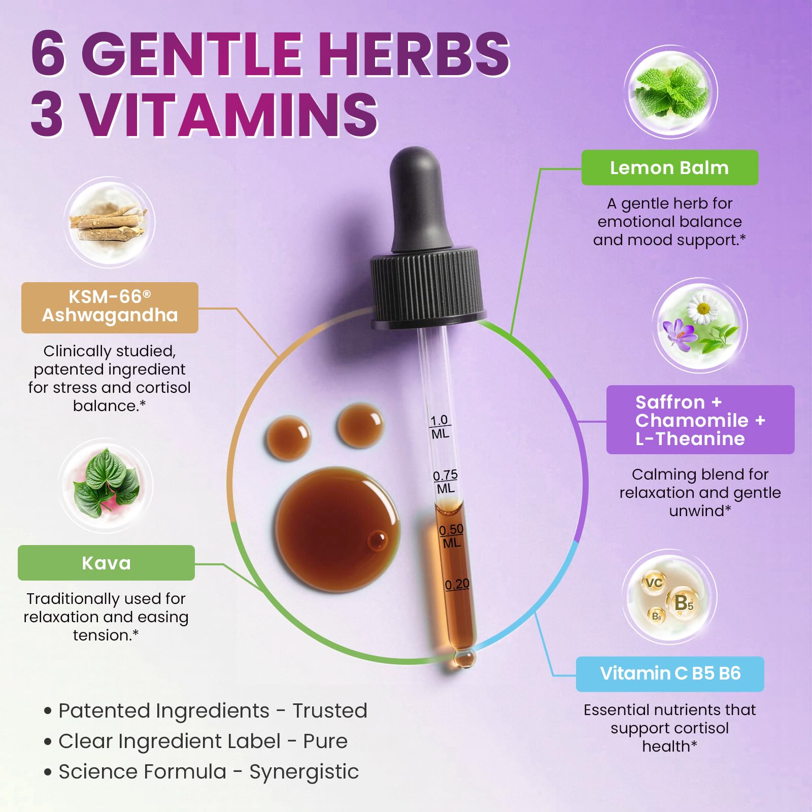 Cortisol Supplements for Women, Cortisol Reducer Manager Detox with KSM-66® Ashwagandha, Kava, Lemon Balm & Vitamin C B5 B6, Lower Cortisol, Hormone Harmony Liquid Drops, 2 FL.OZ, Blueberry Flavor LukareeBuy Supplements Australia