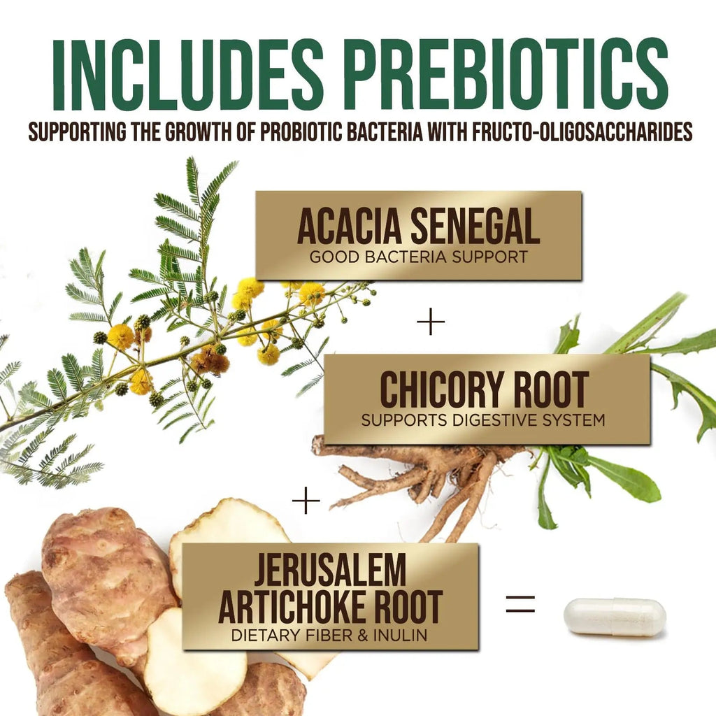 Probiotics 50 Billion CFU per Serving - 10 Strains + Prebiotics - Digestive Health, Gut & Immune Support - Occasional Constipation, Gas & Bloating Support for Women & Men, Bottled USA - 60 Capsules Health Nutrition NaturalsBuy Supplements Australia
