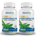 Natural Cure Labs Premium Andrographis Paniculata Extract 1,200mg (100mg Andrographolides), 120 Capsules, Non-GMO, Vegan, Gluten Free Natural Cure Labs buy supplements Au