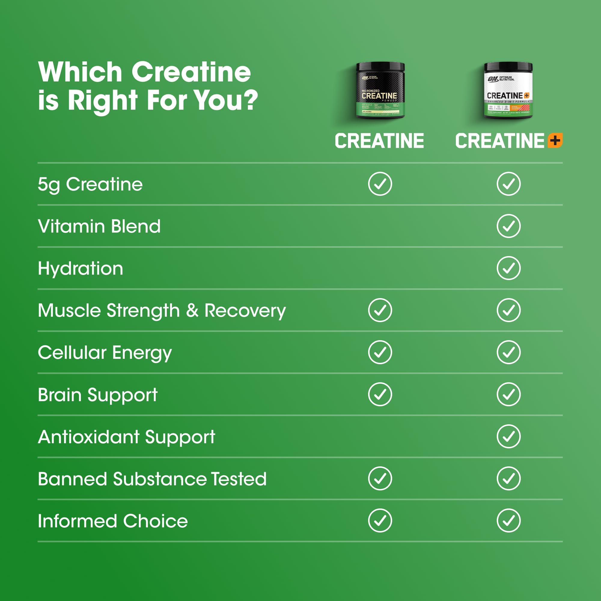 Optimum Nutrition Micronized Creatine Monohydrate Powder, Unflavored, 60 Servings, 300 Grams (Packaging May Vary)