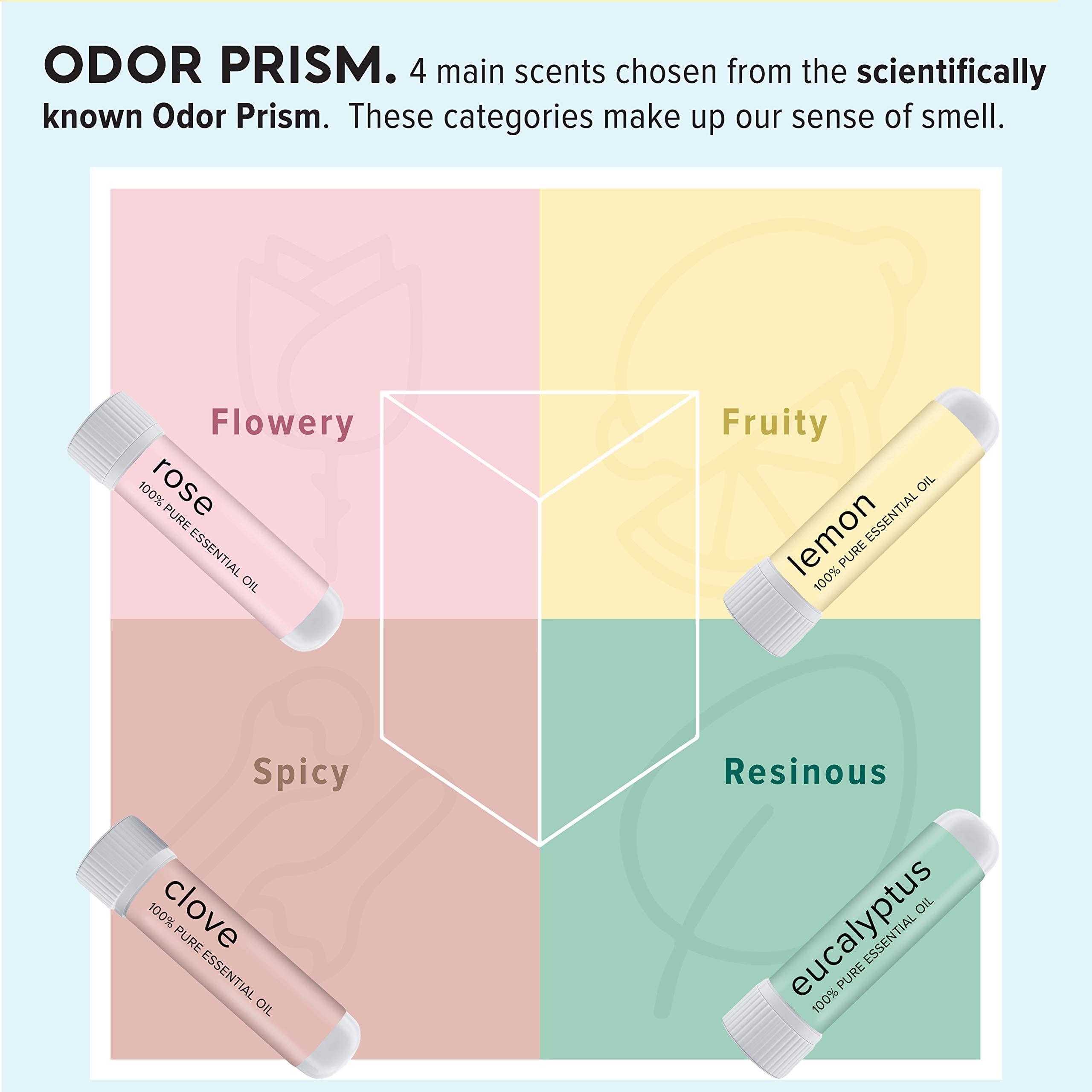 MOXĒ Smell Training Kit, Made in USA, 4 Essential Oils, Olfactory Regeneration, Helps Restore Sense MOXEBuy Supplements Australia
