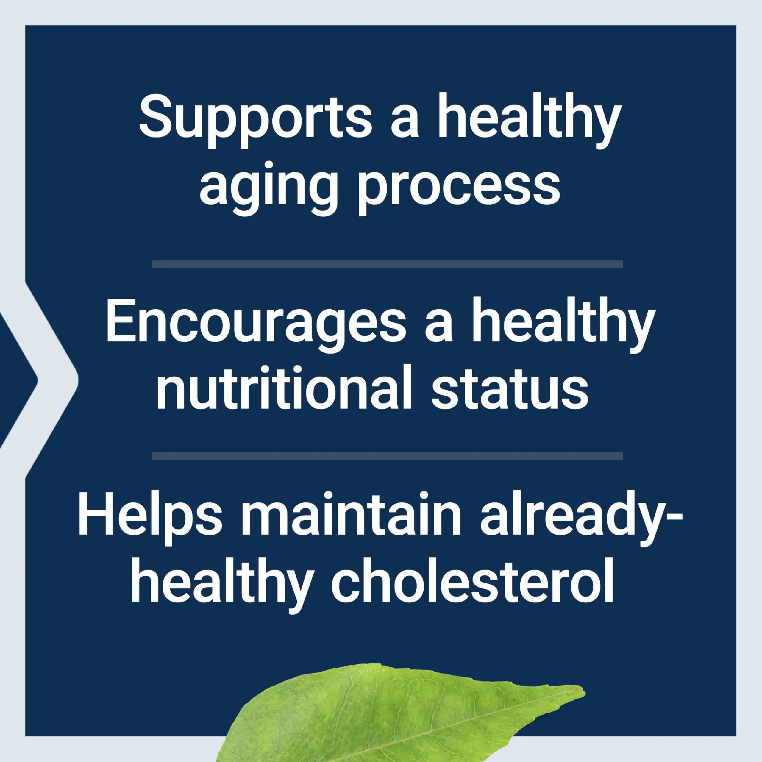 Life Extension FLORASSIST® Probiotic Youthful Gut, Healthy Aging Supplement, postbiotic and probiotic Blend, Heart and Gut Health, Non-GMO, 1-Daily, Gluten-Free, Vegetarian, 30 Capsules Life ExtensionBuy Supplements Australia