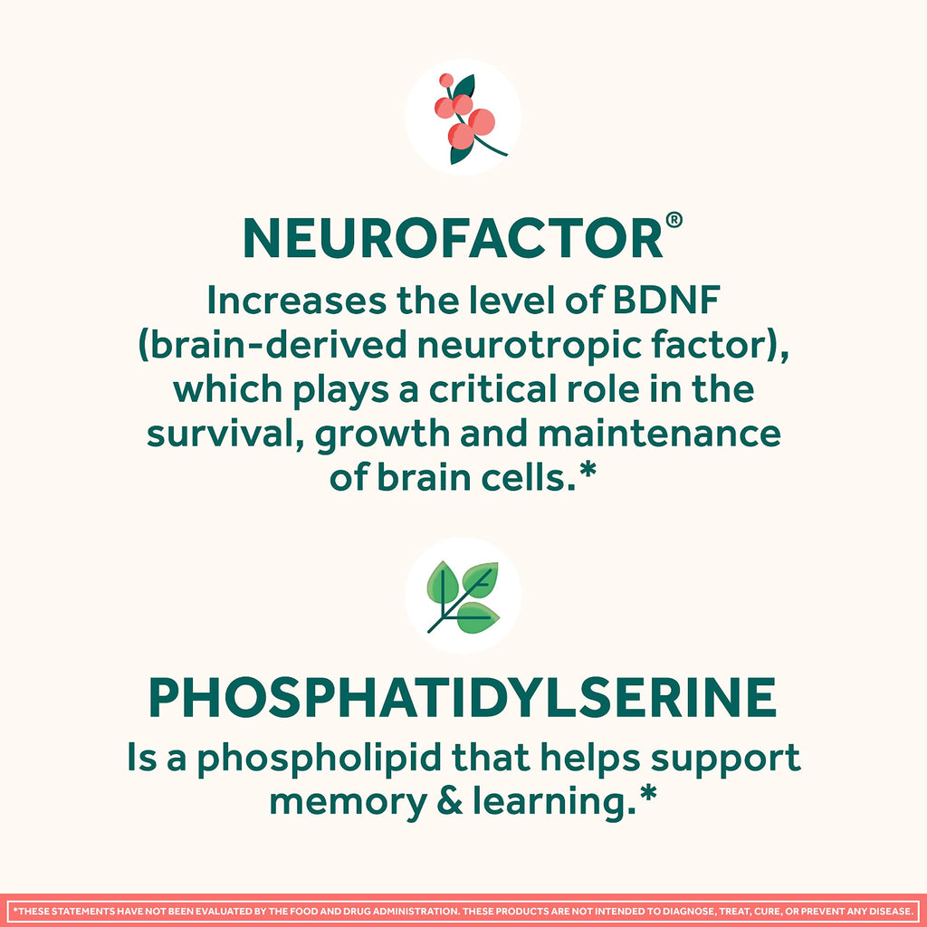 NEURIVA Original Brain Supplement for Memory, Focus & Concentration + Learning & Accuracy with Clinically Tested Nootropics Phosphatidylserine and Neurofactor, Strawberry Flavor, 50 Gummies NEURIVABuy Supplements Australia