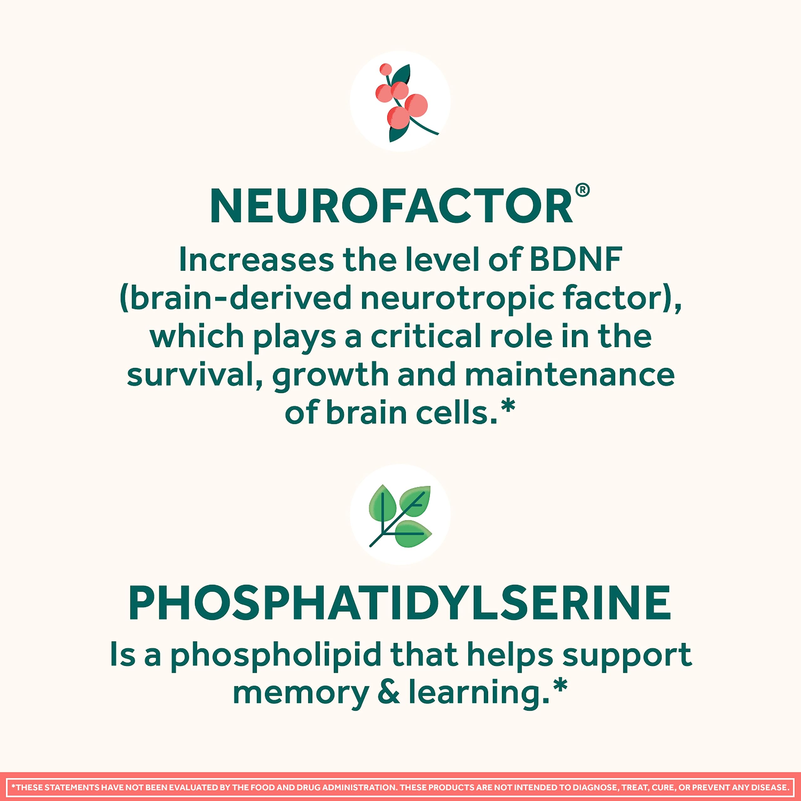 NEURIVA Original Decaffeinated Clinically Tested Nootropic Brain Supplement for Memory, Focus & Concentration, NeuroFactor & Phosphatidylserine, 28ct Capsules NEURIVABuy Supplements Australia