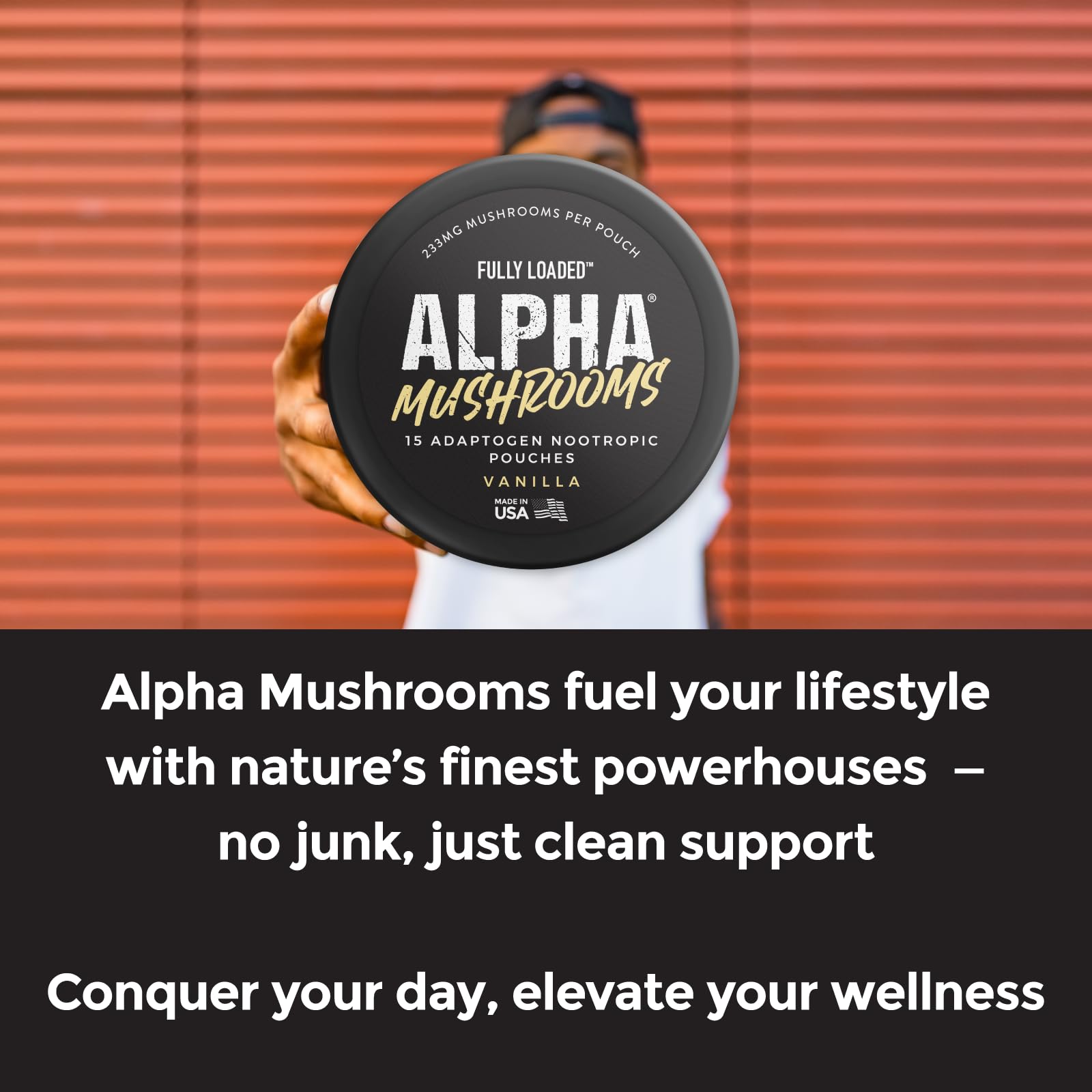 Fully Loaded Alpha Mushrooms - Adaptogen Nootropic Pouches (5-Pack, Mint) - - Lion's Mane, Cordyceps, & Chaga - 5 cans, 15 Pouches per can - Functional Mushrooms - Made in The USA Fully Loaded BullseyeBuy Supplements Australia