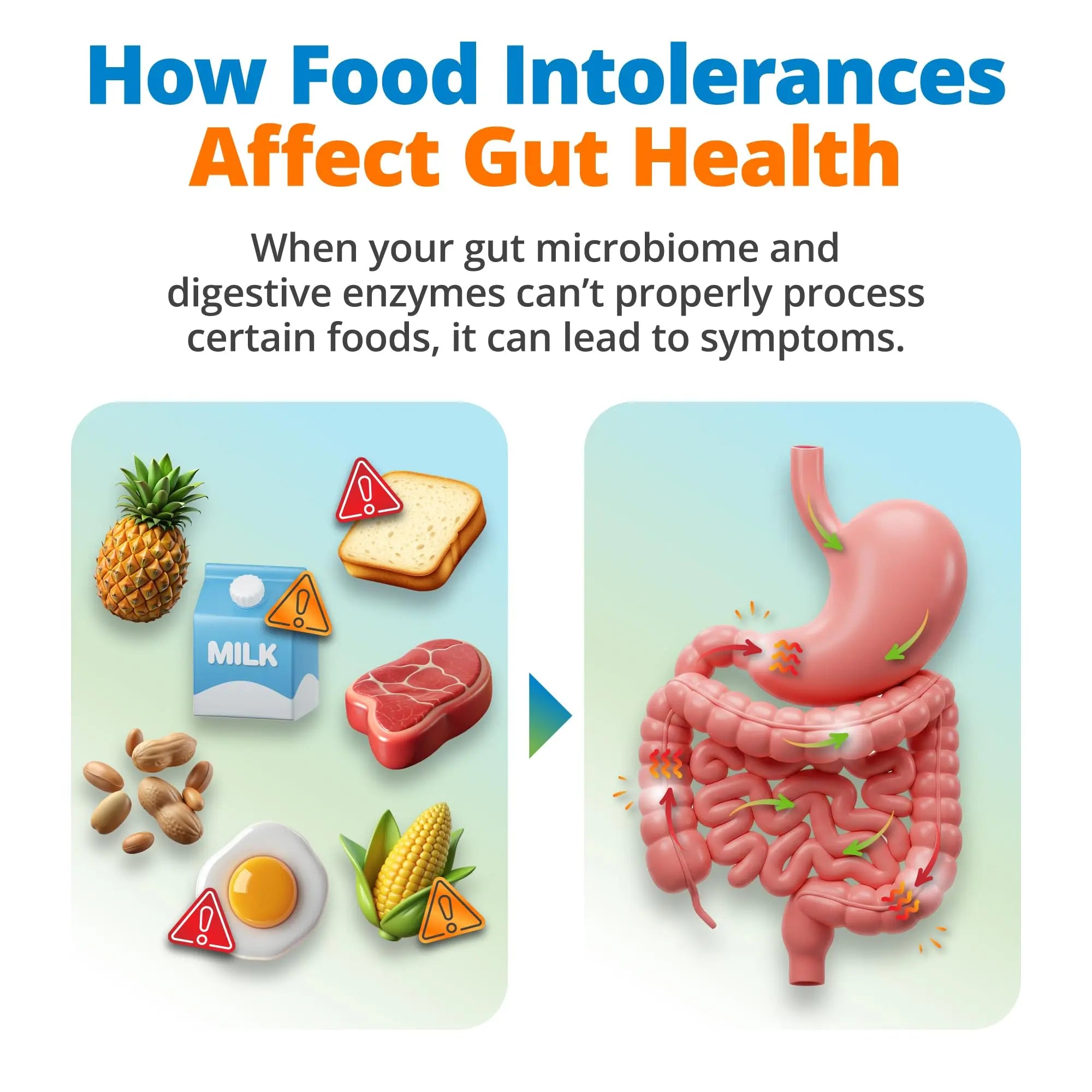 5Strands Gut Health Test for Adults & Kids, 500+ Items Tested, At-Home Hair Sample Screening for Food Intolerances Linked to Digestive Issues, Skin Irritation, Brain Fog & Headaches, Results in 4 Days 5StrandsBuy Supplements Australia