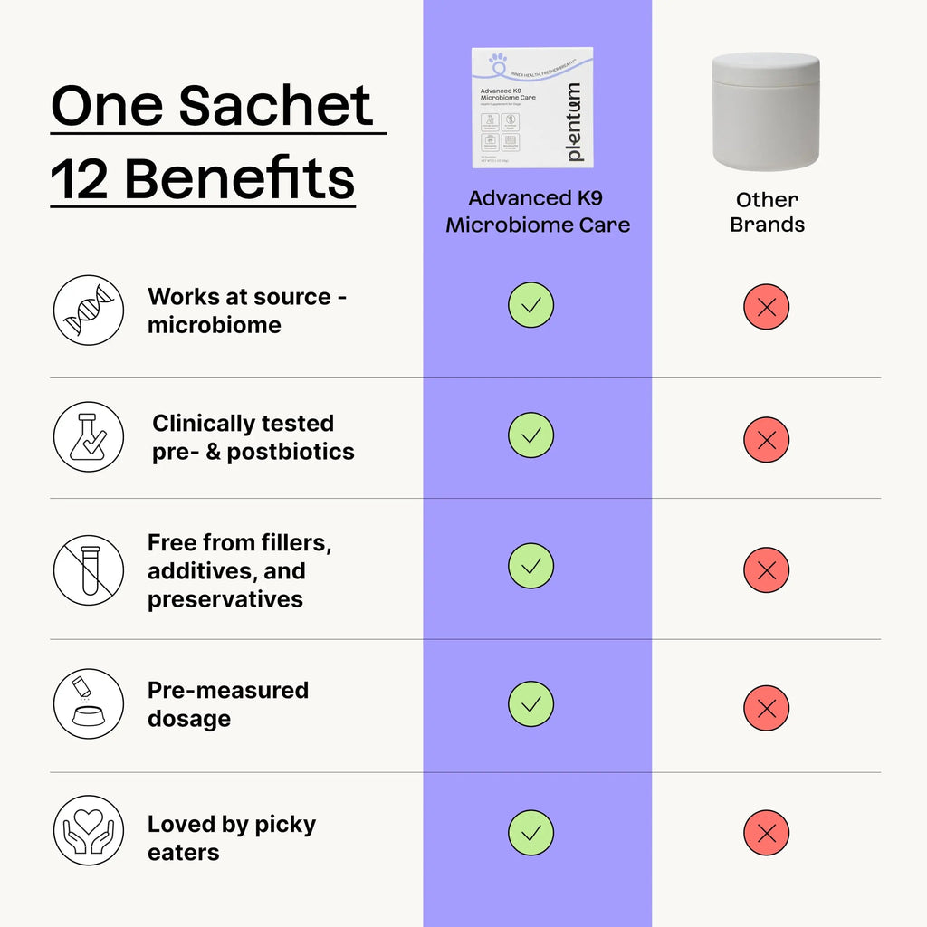 Daily Prebiotic + Postbiotic Dog Supplement Powder | 12-in-1 Support for Gut, Joints, Allergy, Immunity, Calming & Oral Health | Human-Grade Ingredients, No Artificial Flavors-No Fillers - 30 Sachets PlentumBuy Supplements Australia